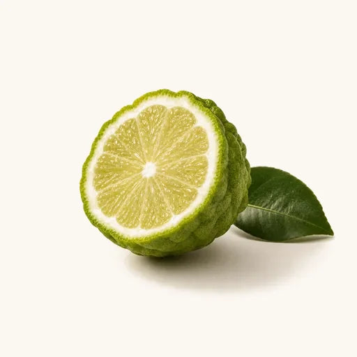 Bergamot