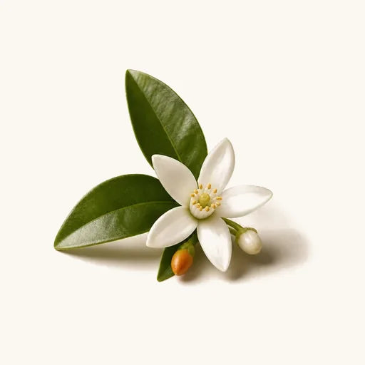 Neroli