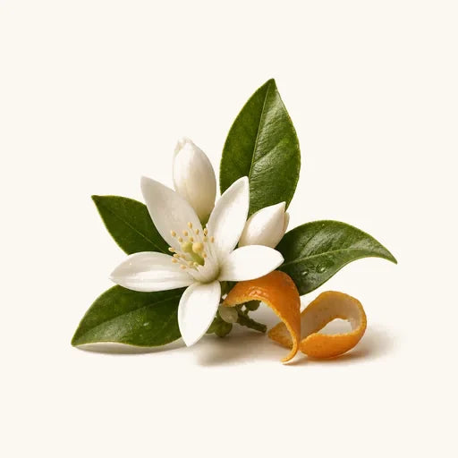 Orange Blossom