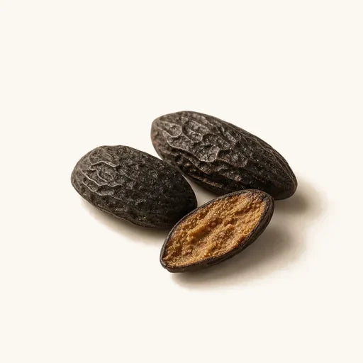 Tonka Bean