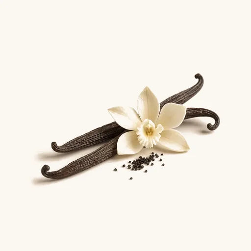 Vanilla